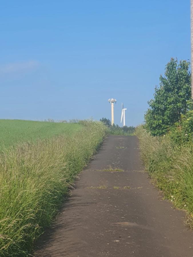 Schoene Aussicht Nettersheim ภายนอก รูปภาพ