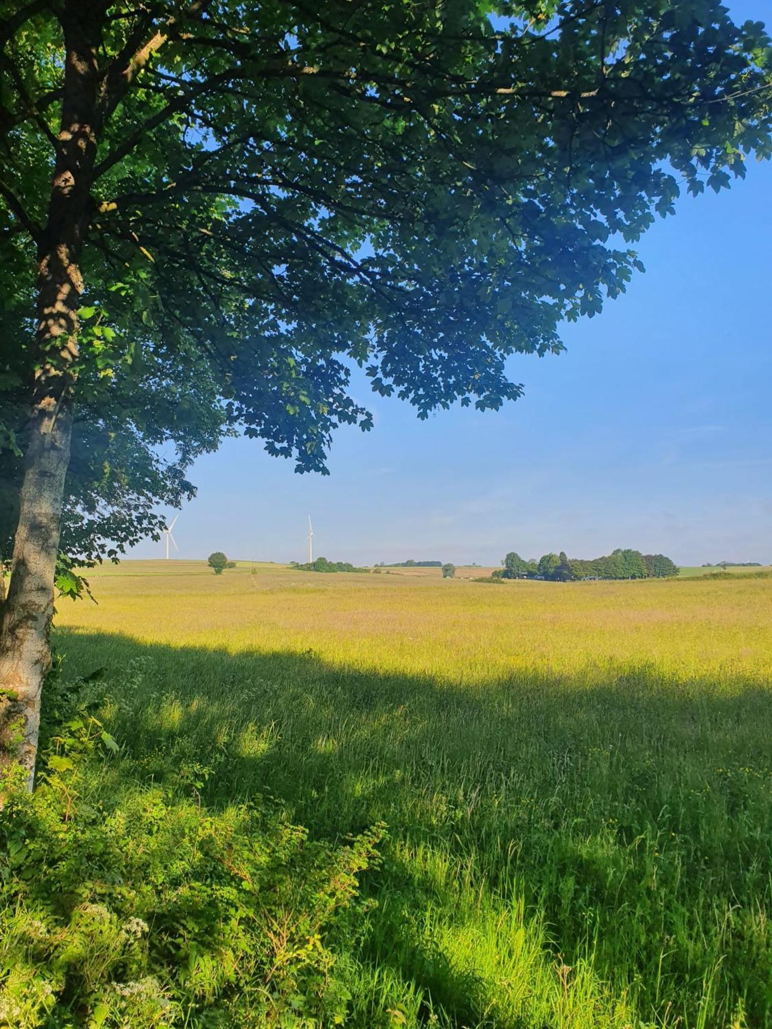Schoene Aussicht Nettersheim ภายนอก รูปภาพ